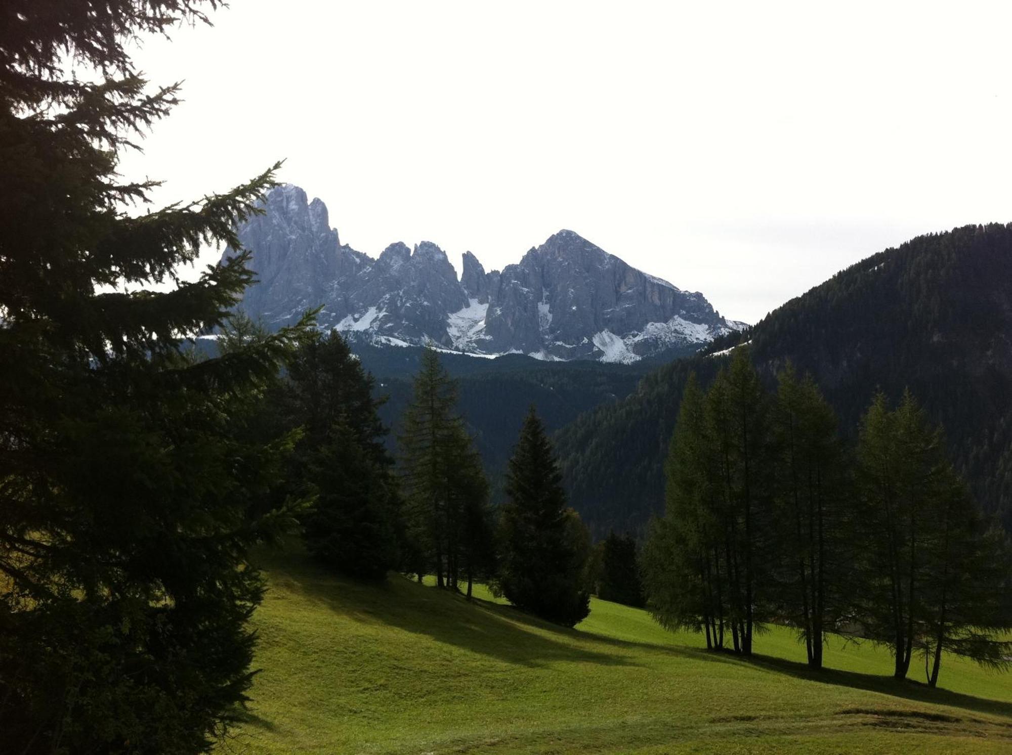 Garni La Bercia Hotel Sëlva di Val Gardena Eksteriør billede